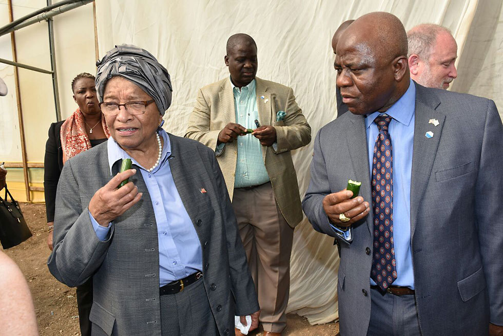 Liberian president and ministers eating Israeli cucumbers (Photo: Shlomi Amsalem, Israeli Foreign Ministry)