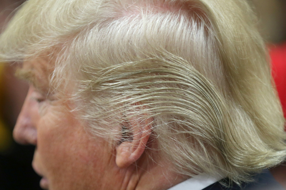 הכוכבת הגדולה של מערכת הבחירות לנשיאות ארצות הברית: רעמת השיער של טראמפ (צילום: Gettyimages)