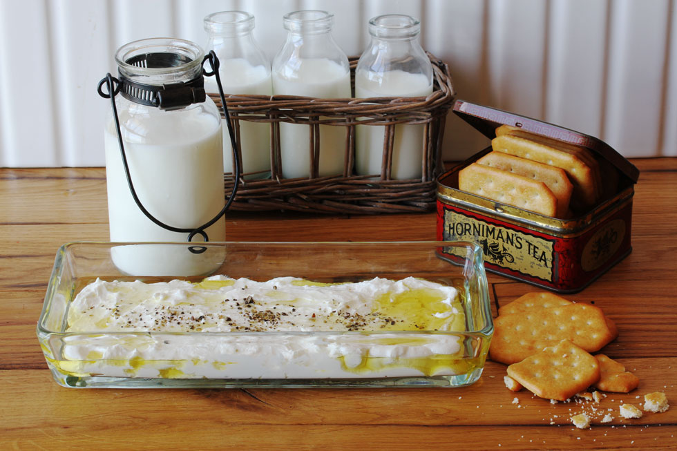 גבינת לבנה ביתית (צילום: אסנת לסטר)