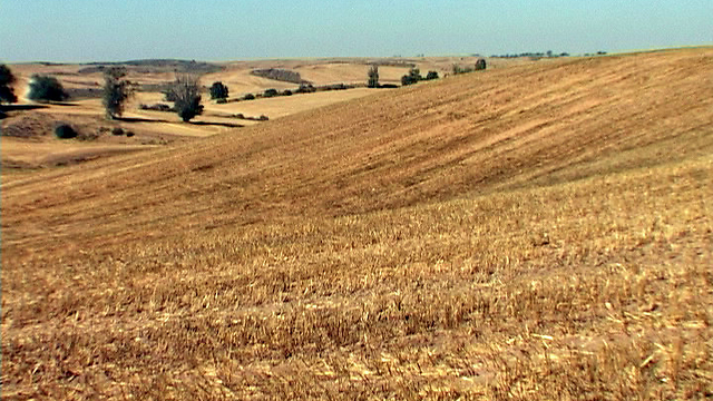 קרקע חקלאית. נדרשת שקיפות (צילום: שי רוזנצוויג) (צילום: שי רוזנצוויג)