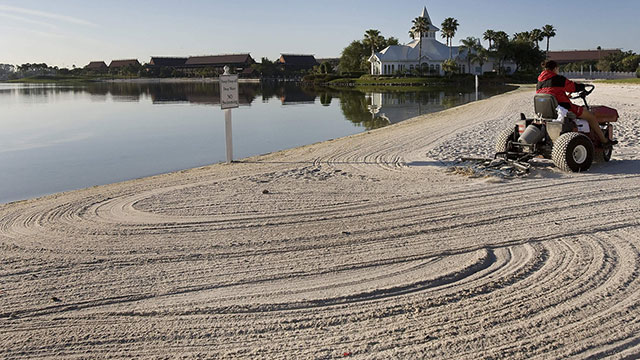 החיפושים בחוף בו נמשך הפעוט למים ע"י האליגטור בפלורידה (צילום: AFP) (צילום: AFP)