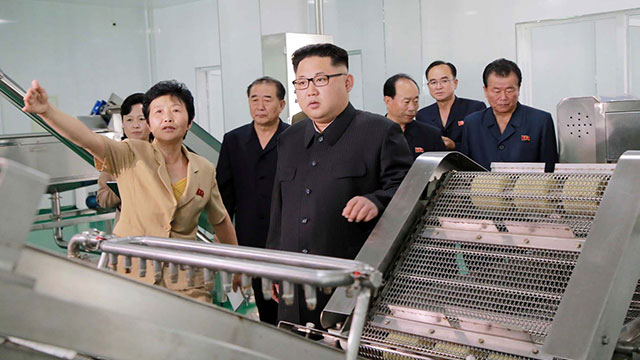 שליט צפון קוריאה קים ג'ונג און בביקור במפעל למלפפונים חמוצים (צילום: AFP) (צילום: AFP)