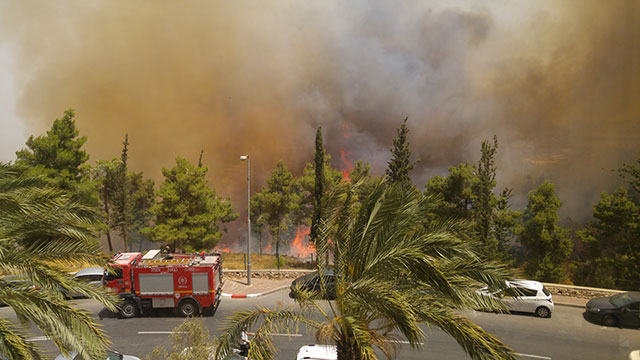 Forest fire in Givat Shaul (Photo: Esti Skoner)