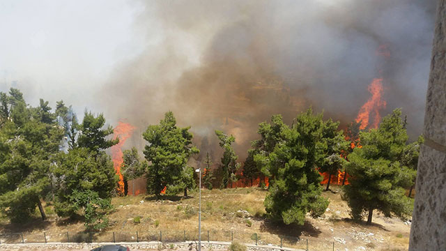 Forest Fire in Givat Shaul (Photo: Tal Cohen)