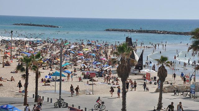 חוף הים בתל אביב, היום (צילום: ליאור פז) (צילום: ליאור פז)