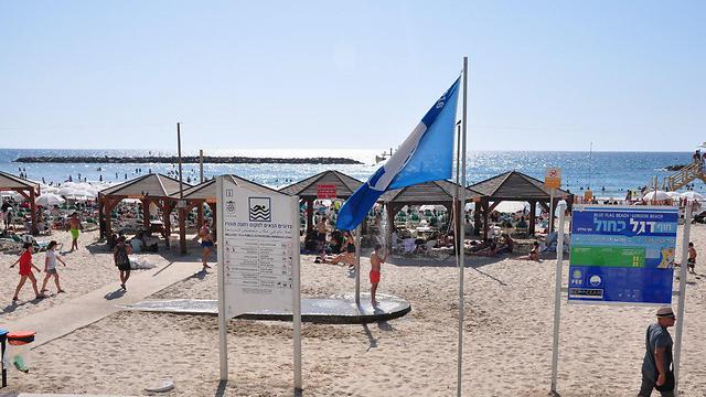 דגל כחול בתל-אביב (צילום: ליאור פז) (צילום: ליאור פז)