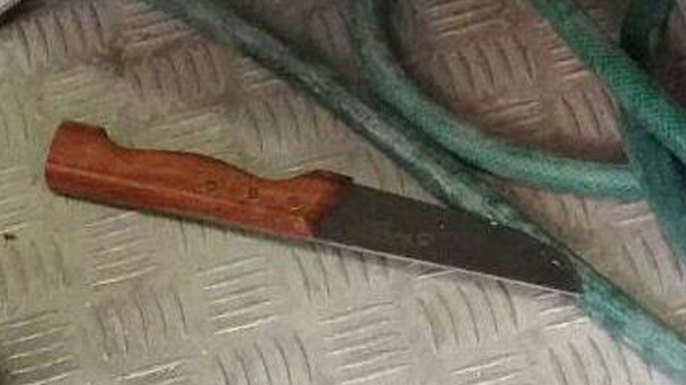הסכין שבה השתמשה המחבלת  (צילום: דוברות המשטרה) (צילום: דוברות המשטרה)