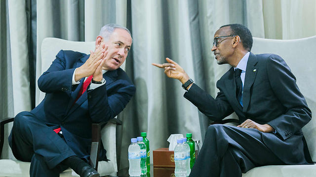 צילום: AFP צילום: AFP