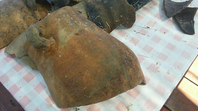 אחד הקנקנים שהתגלו בקניון אכזיב (צילום: AQUAZOOM/פוצקר) (צילום: AQUAZOOM/פוצקר)