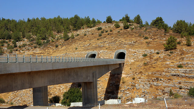 Bridge 8 (Photo: Sasson Tiram)