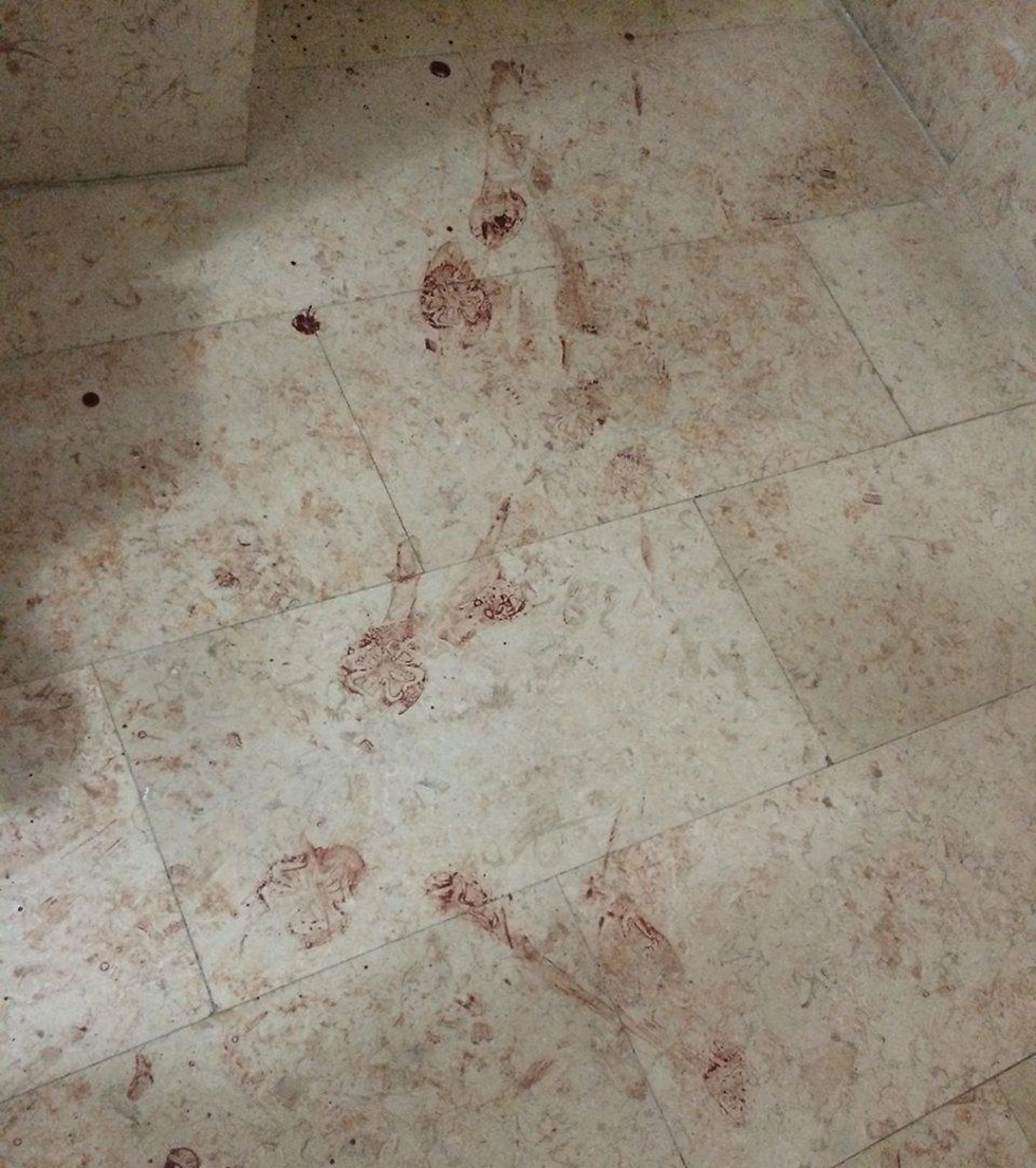 דם בחדר המדרגות במעלה אדומים ()