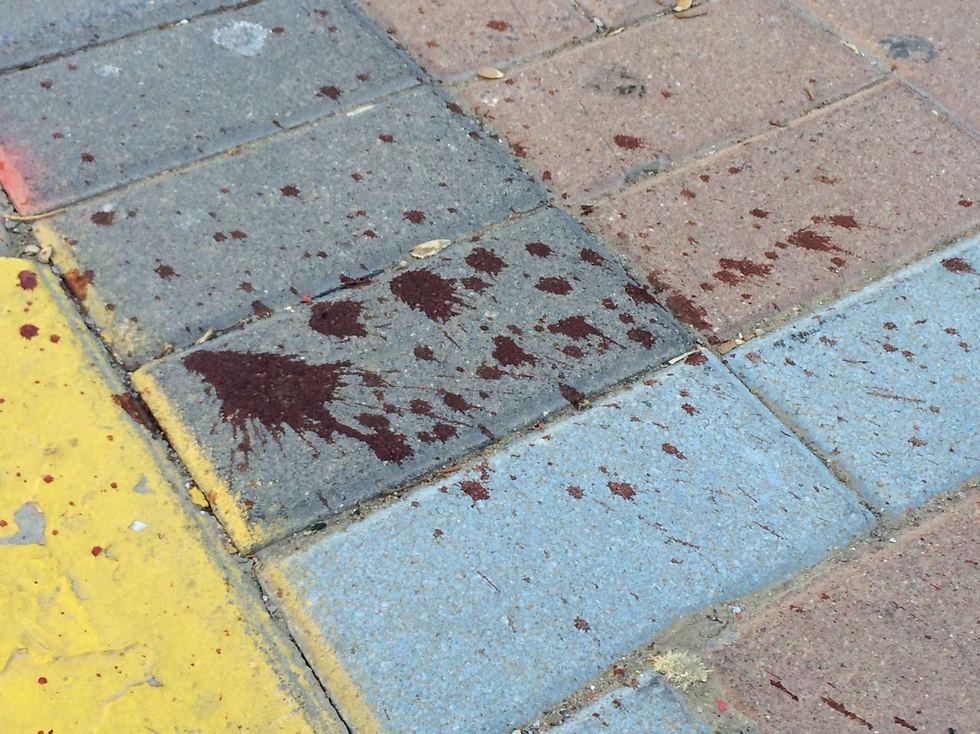 דם על המדרכה בזירת הרצח, הבוקר (צילום: דן בונבידה) (צילום: דן בונבידה)