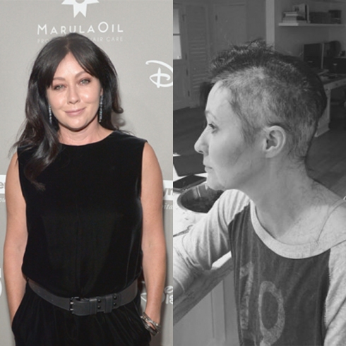 תמונה כללית