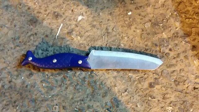 The terrorist's knife (Photo: Samaria Regional Council) (Photo: Samaria Regional Council)