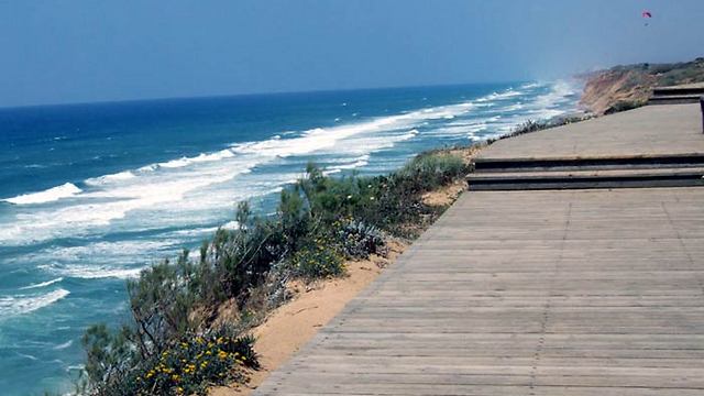 לשבת על הדק ולהסתכל על הים, ההמלצה של יעל ביר-כץ: חוף השרון (צילום: שרה גולד) (צילום: שרה גולד)