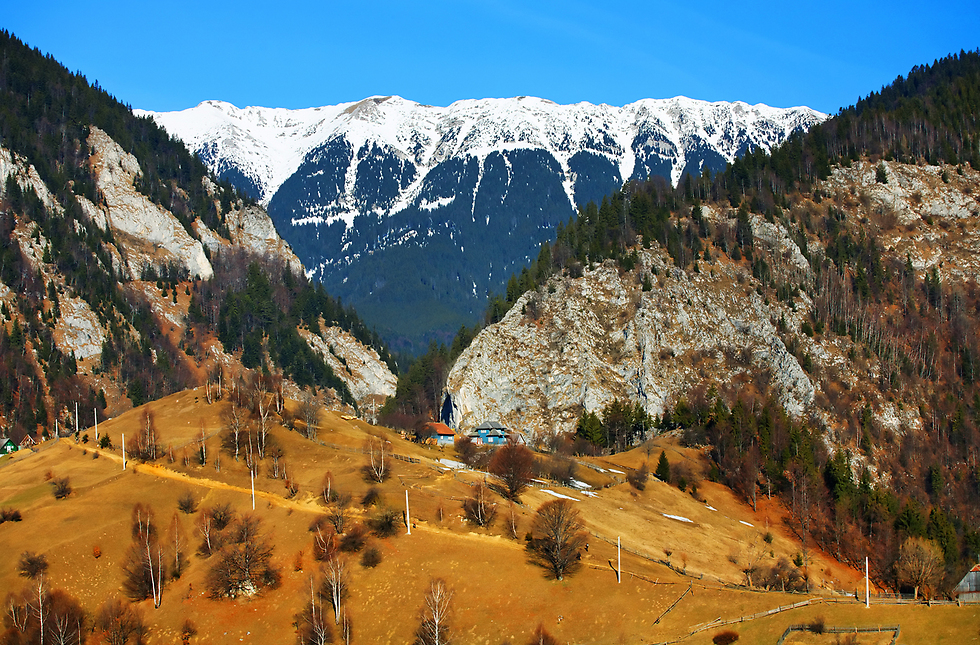 טרק קרוב בפארק הלאומי פיאטרה קריולי ברומניה (צילום: shutterstock) (צילום: shutterstock)