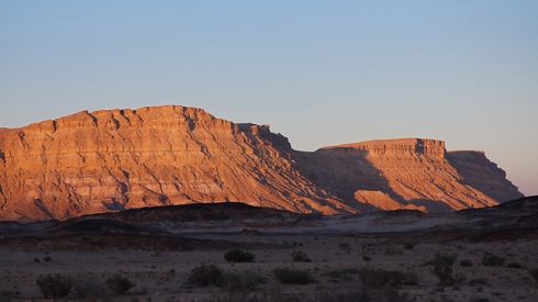 צילום: shutterstock