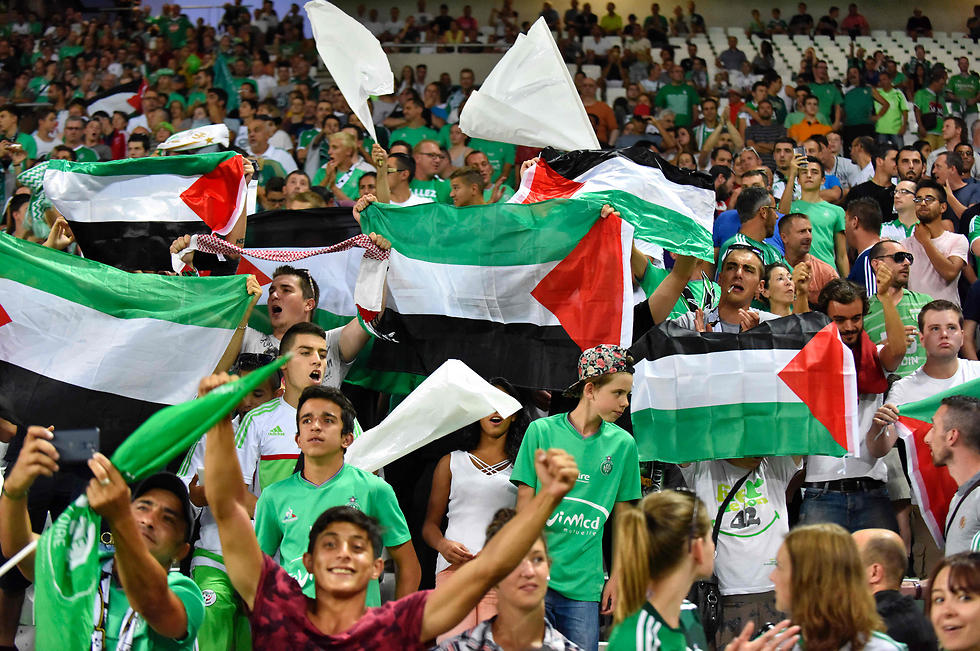 דגלי פלסטין ביציעי סנט אטיין (צילום: AFP) (צילום: AFP)