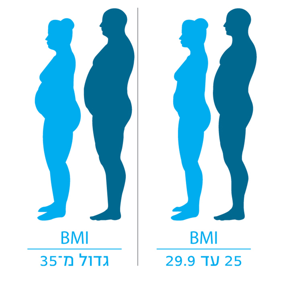 מדדי BMI לקביעת רמת ההשמנה ()