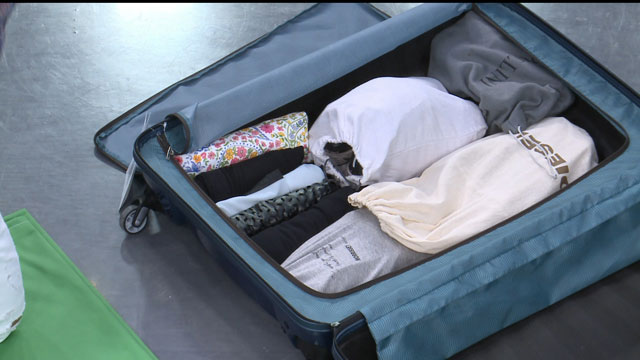 greedy Bloom Grudge מותק, המזוודות התכווצו: איזה גודל מזוודה מותר לעלות למטוס?