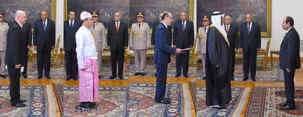 גוברין - האחרון בשורה משמאל, בתמונה מחוברת של השגרירים עם א-סיסי שפורסמה במצרים ()