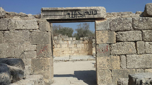 File photo: Vandalism in the archaeological site of Sebastia, Samaria (Photo: Assaf Kamar)