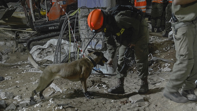 Rescue worker with one of the dogs searching through the rubble (Photo: IDF Spokesman)
