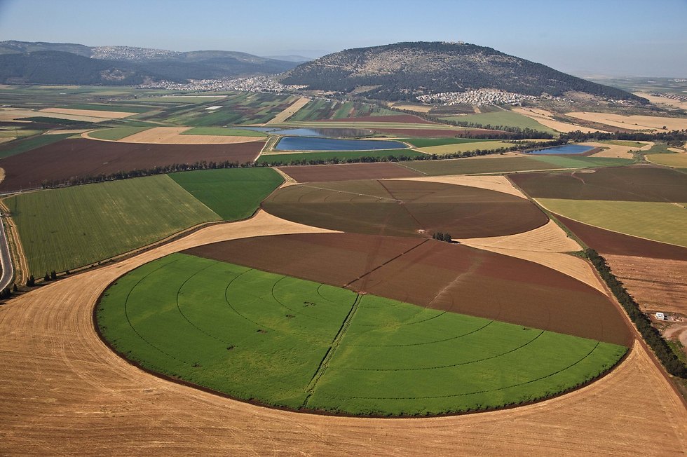 חקלאות בעמק יזרעאל (צילום: דובי טל, אלבטרוס) (צילום: דובי טל) (צילום: דובי טל)
