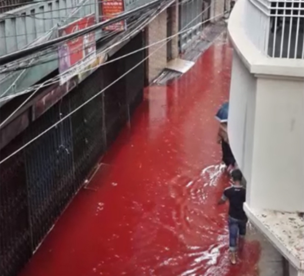 Rivers of blood flow in the streets