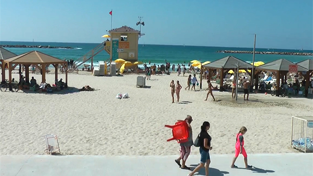 שבת של קיץ בחוף תל אביב (צילום: ליאור פז) (צילום: ליאור פז)