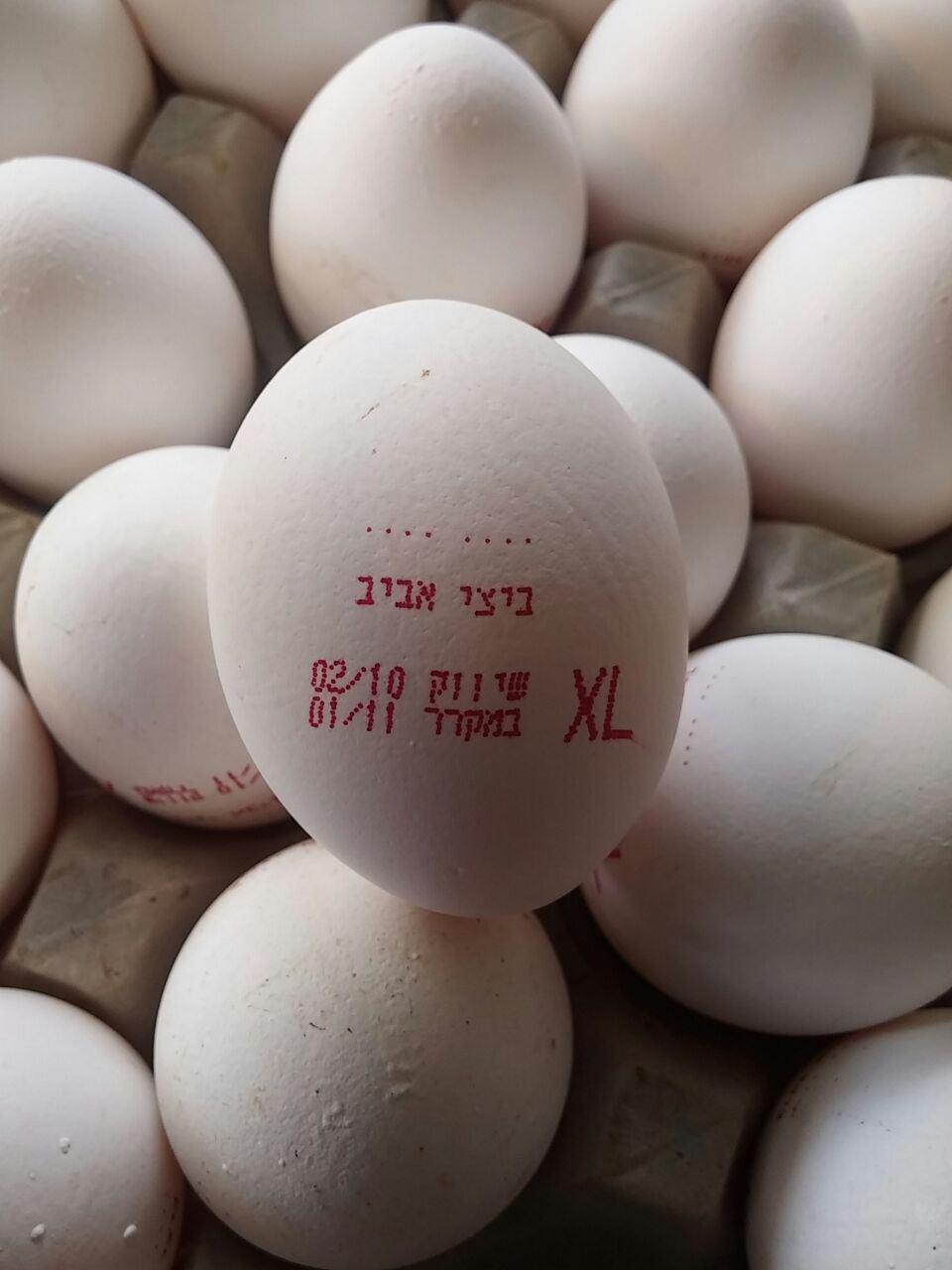 הביצים שנתפסו בשוק מחנה יהודה (צילום: המועצה לענף הלול) (צילום: המועצה לענף הלול)