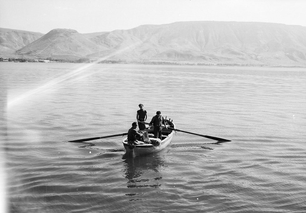 אז היו בקושי שבע סירות מירוץ. הכנרת בשנות ה-60 (צילום: דוד רובינגר) (צילום: דוד רובינגר)