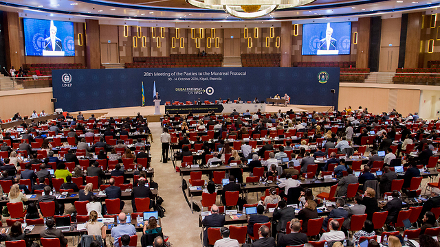 Conference in Kigali (Photo: AP)
