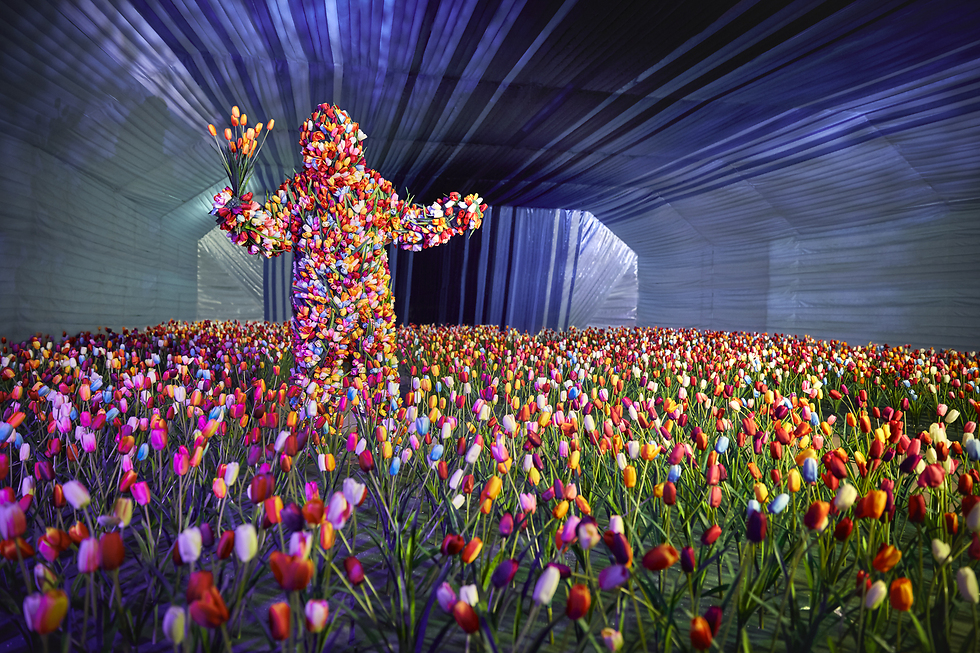 איש הפרחים ב"שדה" (צילום: easyjet) (צילום: easyjet)