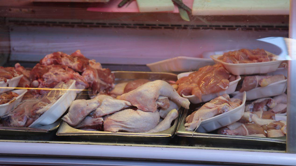 בשוק מצאנו עוף טרי. גם בויקטורי יש עוף טרי (צילום: מוטי קמחי) (צילום: מוטי קמחי)