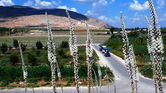 מראה מרהיב בפארק המעיינות בעמק בית שאן  (יח"צ) (יח