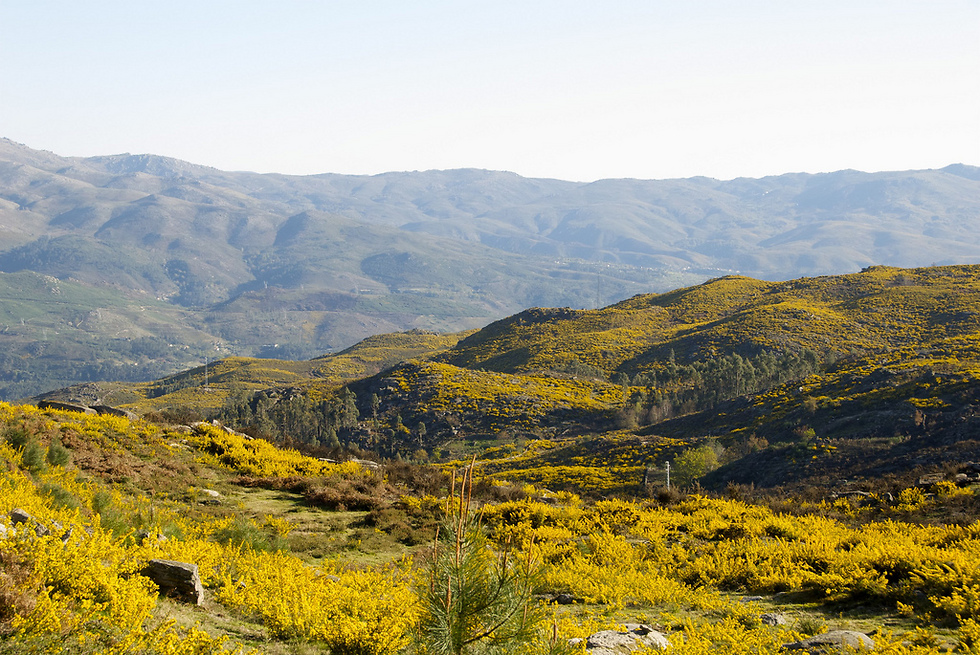 מסלול של 85 ק"מ. פארק פנדה גרש, צפון פורטוגל (צילום: Serra Amarela) (צילום: Serra Amarela)