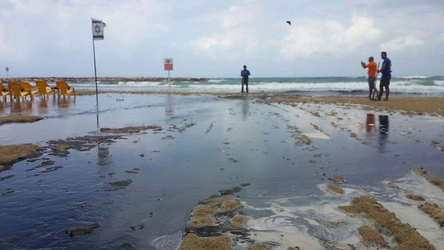Pollution gets washed out with the rain on Dolphinarium Beach, Tel Aviv (Photo: Noni Mori)