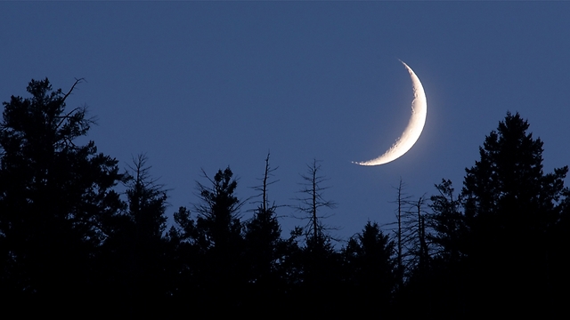 כוכבי הלכת ייראו מתחת לירח (צילום: shutterstock) (צילום: shutterstock)