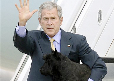 בוש וכלבו המיתולוגי ברני בימי נשיאותו (ap)