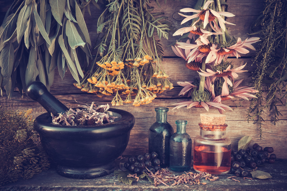 חמישה צמחי מרפא להקלת אלרגיה עונתית, לחצו על התמונה (צילום: Shutterstock)