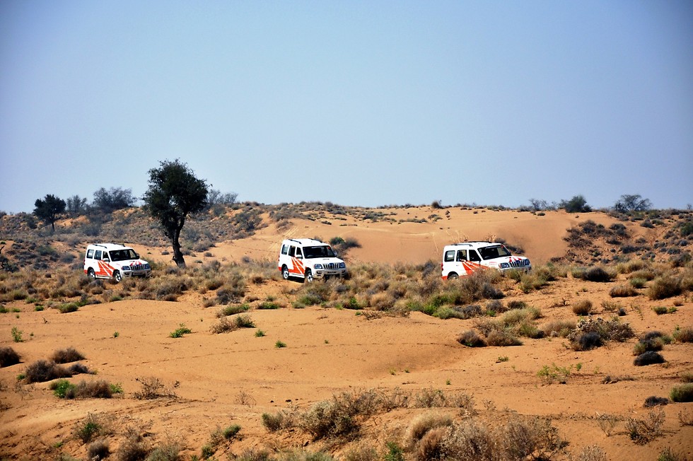 לחצות את מדבר טהאר שבחבל רג'יסטאן  (צילום: דודו אדרי) (צילום: דודו אדרי)