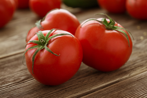 המתיישבים האירופאים בצפון אמריקה לא העזו לגעת בעגבניות (צילום:  Shutterstock)