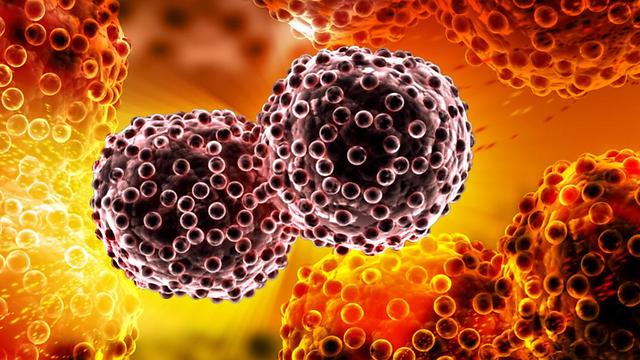 Cancer Cells (Photo: Shutterstock)