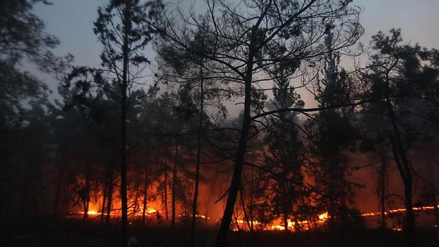 Raging fires (Photo: Gil Yohanan)