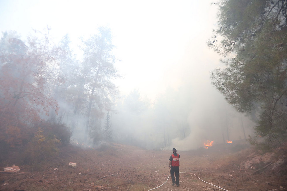 השריפה ליד לטרון (צילום: גיל יוחנן) (צילום: גיל יוחנן)