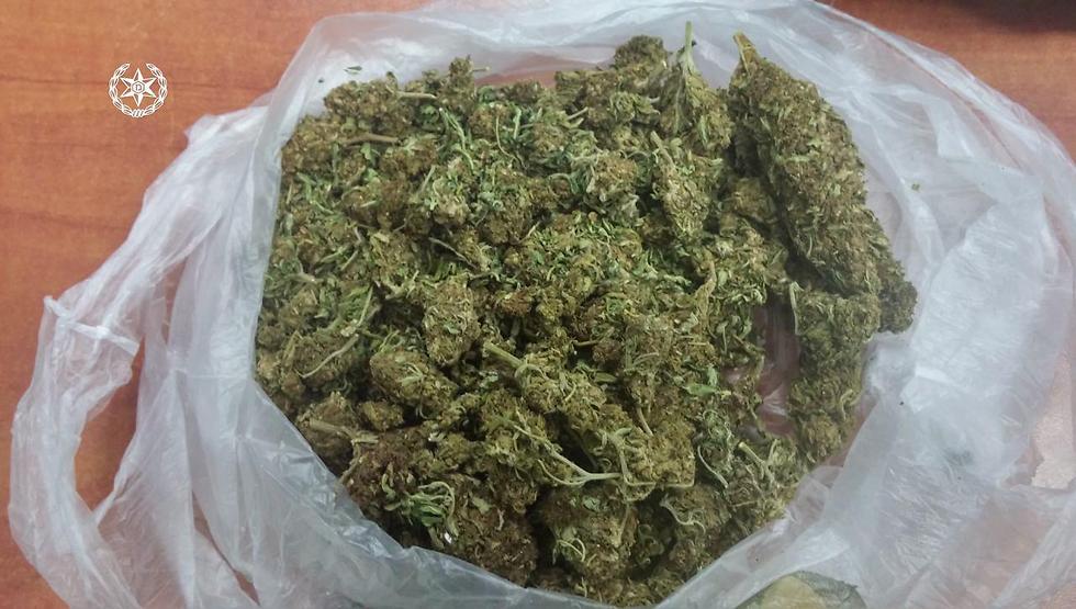 Some of the seized marijuana (Photo: Israel Police)