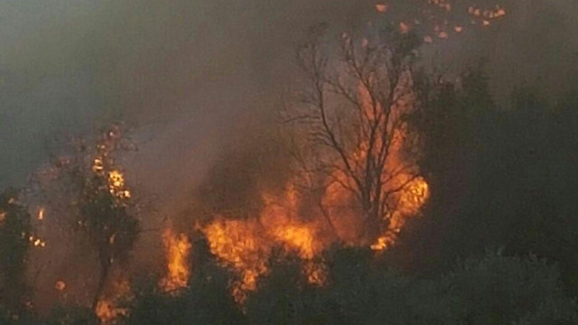 Fire raging in Zikhron (Photo: Eli Segal)