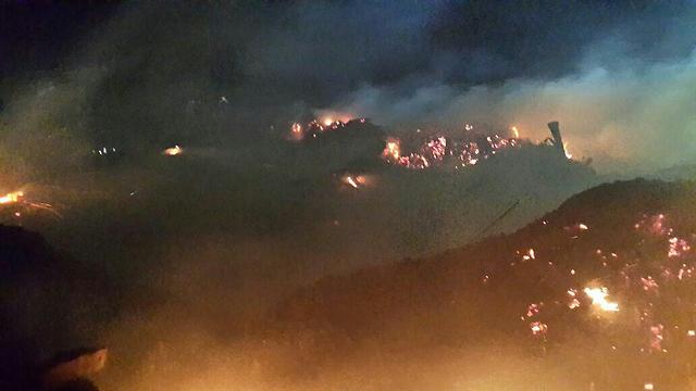 השריפה הלילה ברבדים (צילום: גלעד בן ארי, המשרד להגנת הסביבה) (צילום: גלעד בן ארי, המשרד להגנת הסביבה)