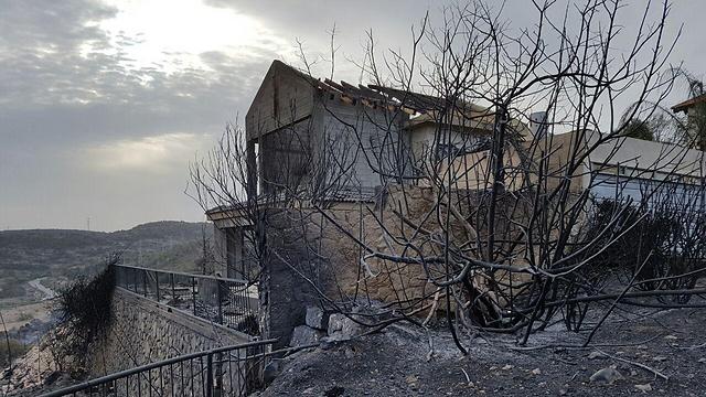 Fire damage in Zikhron (Photo: Ido Erez)